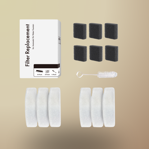 Accessoires indispensables