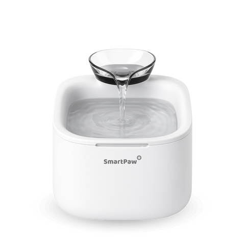 FlowMate – Fontaine à eau pour chat silencieuse et compacte