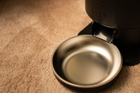 Chrome feeder - SmartPaw